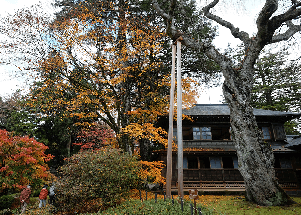 日光田母沢御用邸記念公園（NIKKO TAMOZAWA imperial villa memorial park）