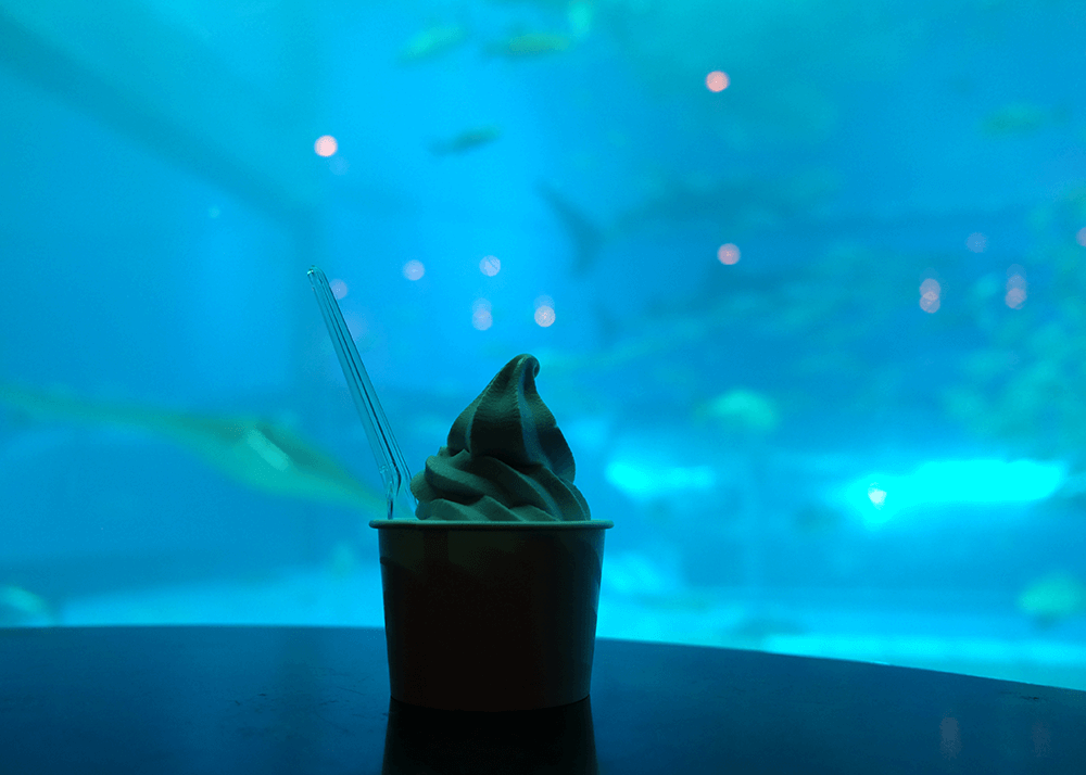 沖縄美ら海水族館（Okinawa Churaumi Aquarium）