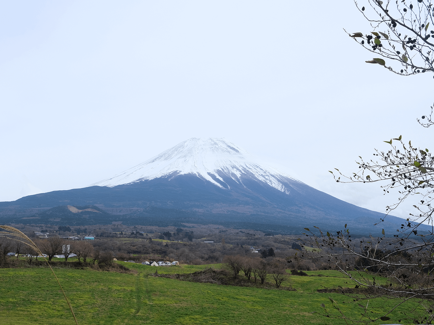 少し離れたところから見た富士エコキャンプ場