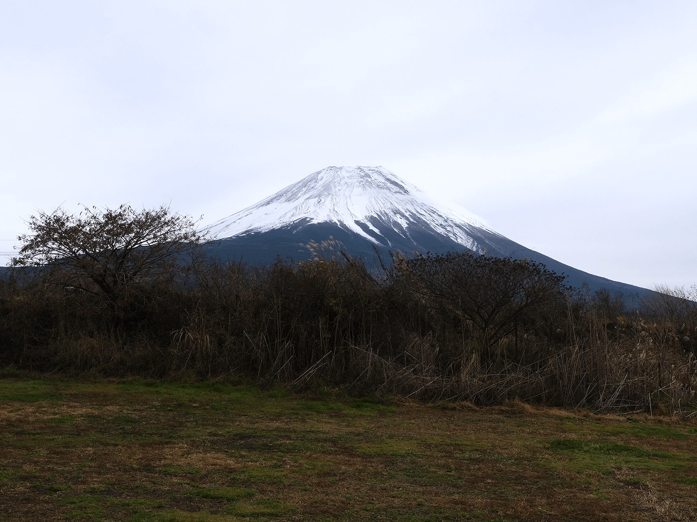あまり富士山に寄りすぎると、逆に柵替わりの木々が邪魔になるかもしれません