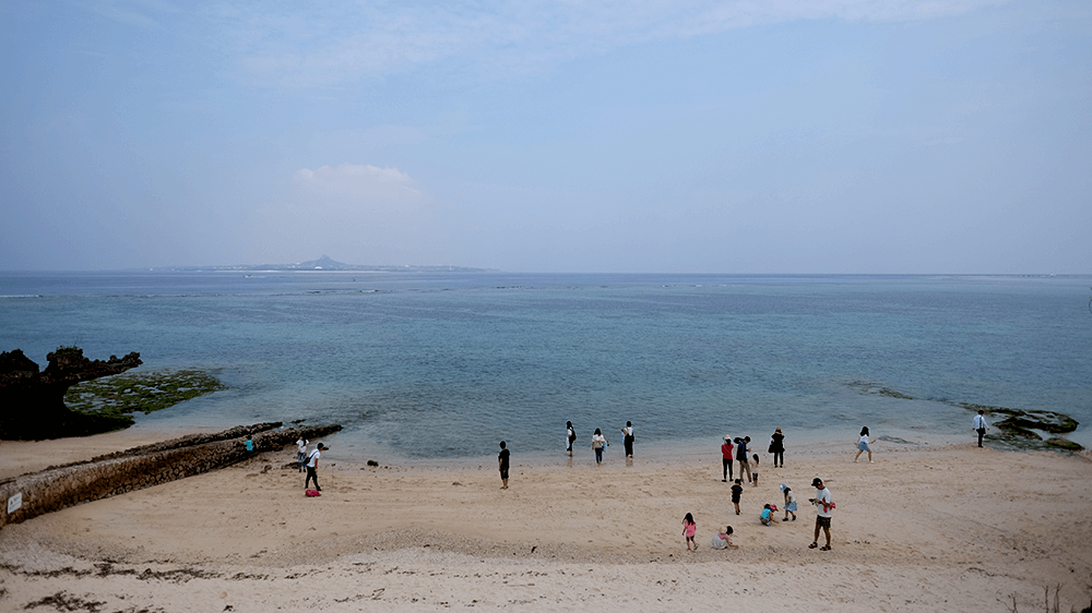 沖縄、美ら海水族館